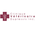 Soins santé chiens