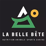 magasin chien Québec