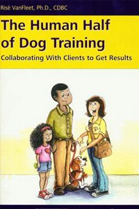 éducation dressage chien