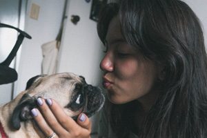 chien grogne flatter