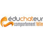 comportement chat miaule