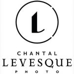 photo professionnelle chien chat