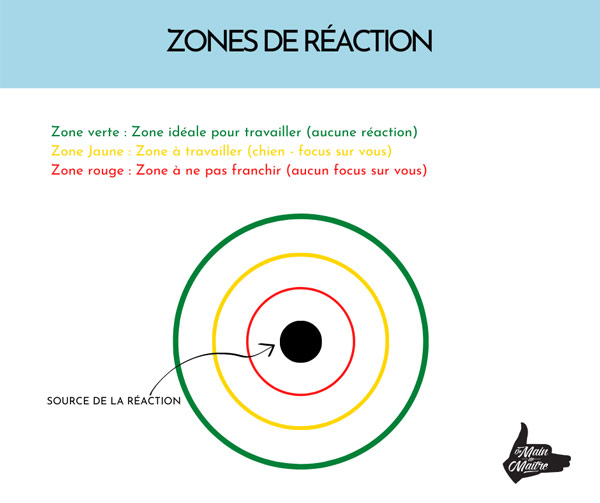 zone-reaction-chien