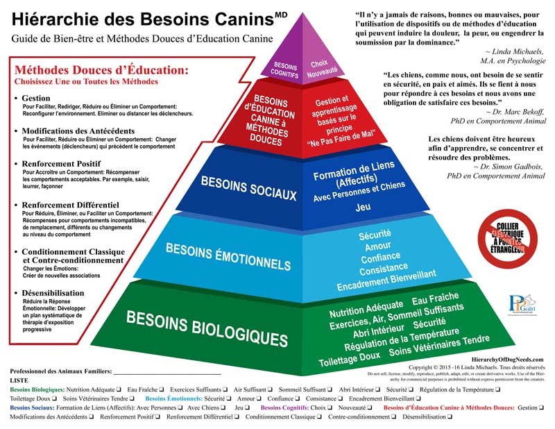 hierarchie des besoins canins