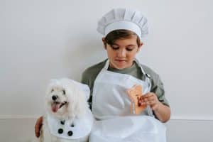 recettes-alimentation-chien-maison