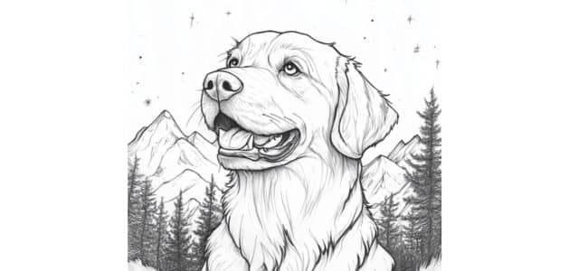 chien stressé humain stressé