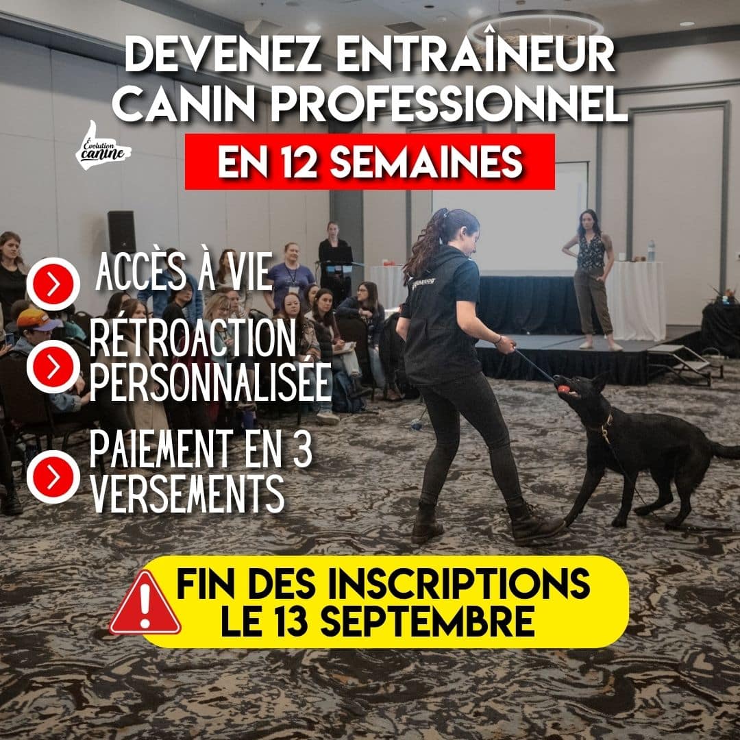 ECP-Automne2026 2.0